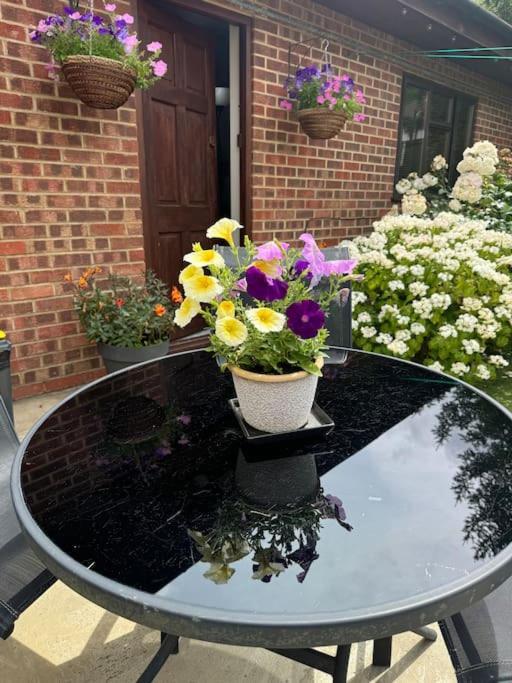 Garden Flat In Londra